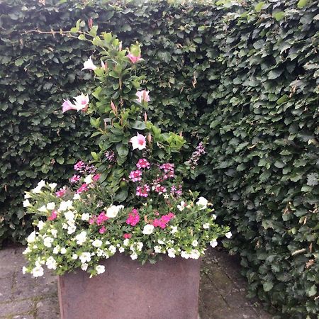 B&B De Veluwe Hoeve Eerbeek Ngoại thất bức ảnh