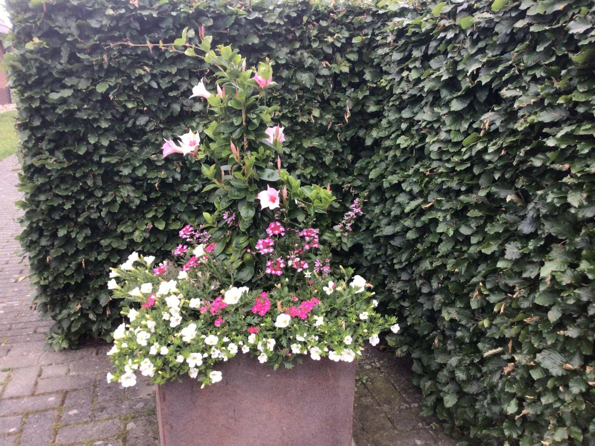 B&B De Veluwe Hoeve Eerbeek Ngoại thất bức ảnh